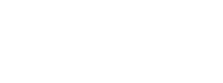 Elect Leaders