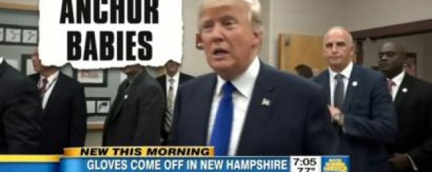 ABC reporter calls out Trump on “Anchor Babies”